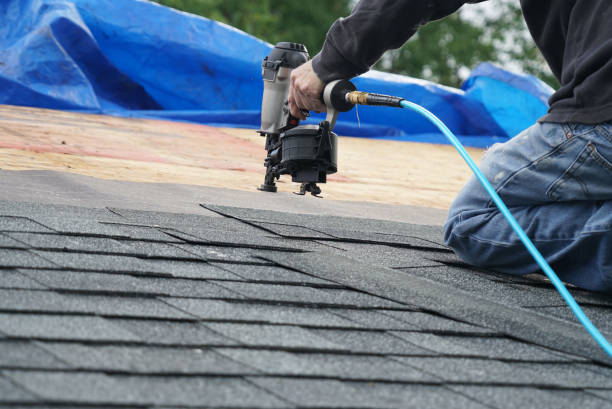 Best Roof Moss and Algae Removal  in Tyrone, OK